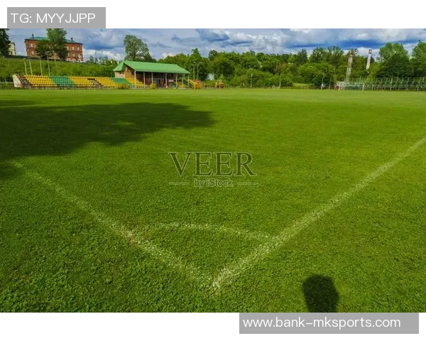 探索一亩足球场的多重价值与其在社区生活中的重要性